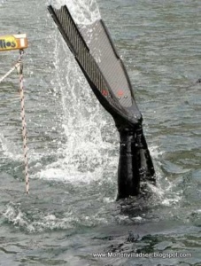 2010 – et år under vandet